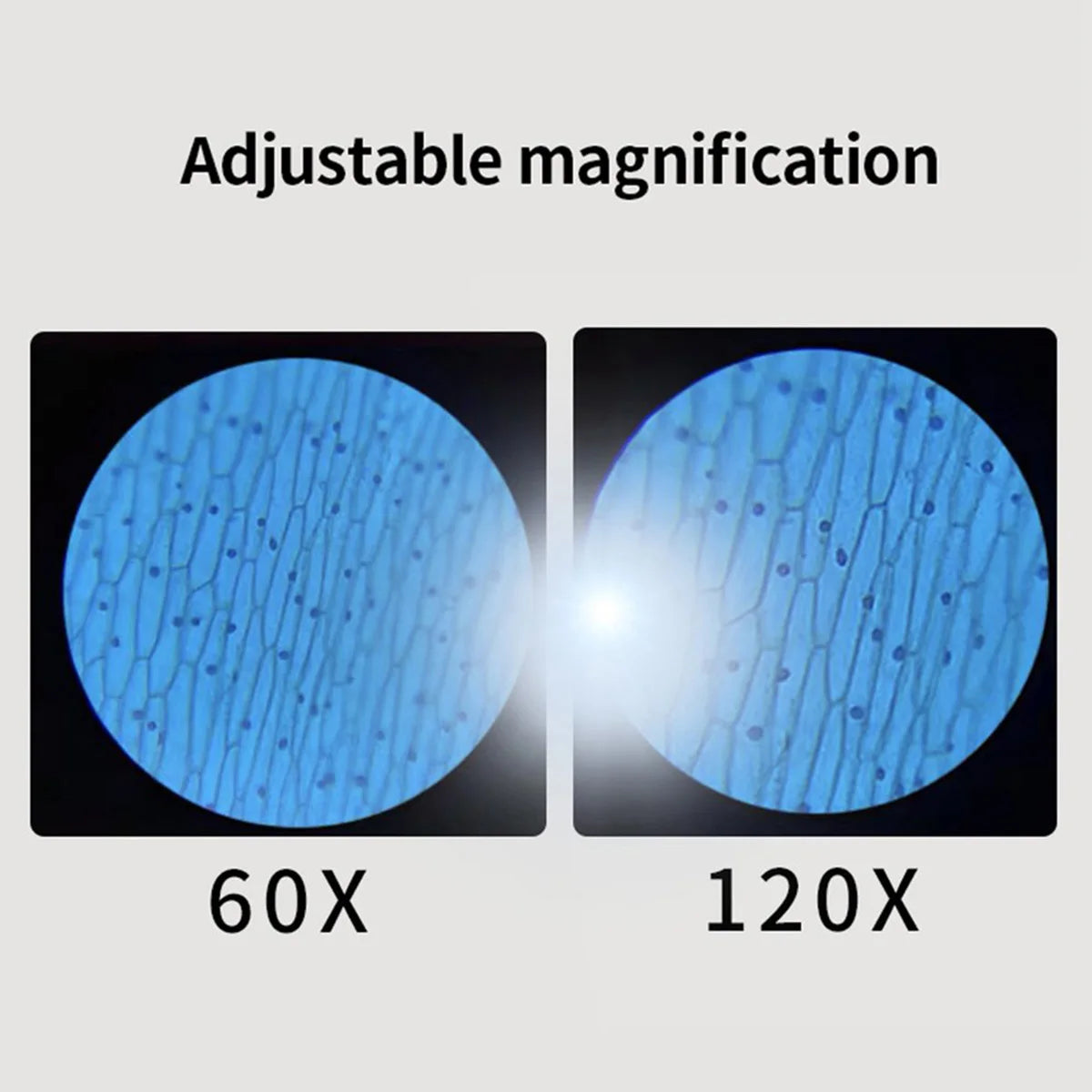 S410e8881aadc49a9a95794d1634d7ef27